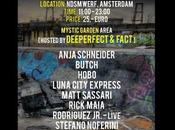 Stefano Noferini ballare l`ADE 18/10/2014 Deeperfect FACT Stage Dockyard Festival #ADE2014.