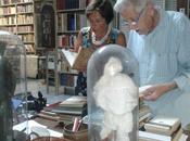 Dentro biblioteca privata dottor Nicola Avellino: verso l´anima libri! (tour fotografico)