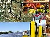 L’agricoltura Salento, Paesaggio tutela dell’ambiente