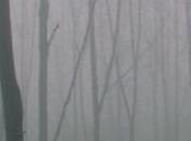 Editoria l’infanzia: mistero. parte