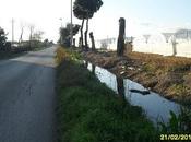 Pantanelle degli orrori: Parte