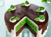 Torta cioccolato menta.