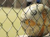 Serie presentazione della giornata. match 12ottanta-Sabina Lazio Calcetto