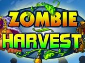 Zombie Harvest Android piante contro uccelli, suini zombie!