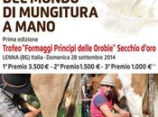 Campionato mondo mungitura mano Lenna Brembana