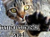 Premio curiosità 2014