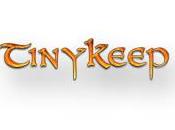 TinyKeep Recensione