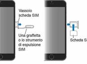 Iphone iPhone Plus dove come inserire nano-SIM telefonica