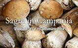Sagre Campania