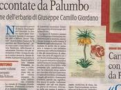 Giuseppe Camillo Giordano, essere scienziato naturalista, discostarsi uomo Sud.