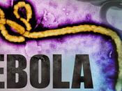 Detrattori Metodo Bella udite udite: Melatonina potenziale trattamento l'Ebola!