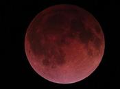 Tetrads Selenelion: arrivo seconda eclissi totale Luna