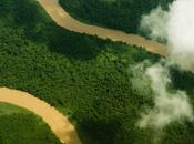 Borneo 2014. Partita spedizione Nikon indagare deforestazione