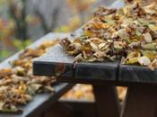 compost foglie