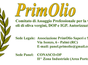 Sedute assaggio olio vergine oliva: PrimOlio pubblica manifestazione d'interesse.