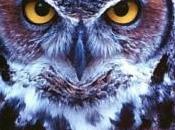 Parco dello Stirone, dove natura diventa strumento dell’antimafia. l’Aspromonte?