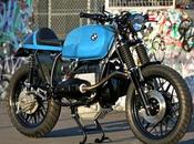 Kevils' Blue Firenze