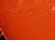 Rare protuberanze Sole