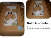 sciarpine scatola...