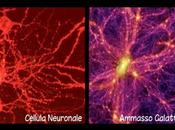 nuova ricerca paragona struttura sviluppo dell’Universo alle reti neurali cervello