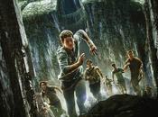 Maze runner labirinto