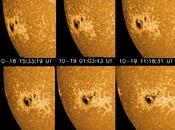Macchia solare record!