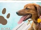 Regis Bora Resort cuore Animara