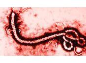 Ebola: tratta veramente? riflessione tutto campo. Cammerinesi