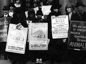 Antivivisezionisti anni
