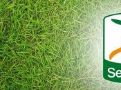 Serie formazioni dell'undicesima giornata