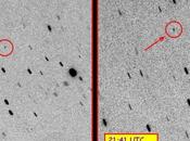 quant’è bella Gaia colli bolognesi