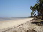 primo pomeriggio piuttosto tranquillo/ Giallo Tanzania