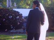 1186 matrimonio