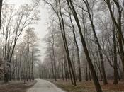 L'alternativa diavolo