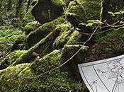 Moleskine presenta Hobbit Limited Edition