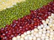 Parliamo della soia: introduzione, prima parte