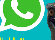 Indovinello WhatsApp dello struzzo: ecco soluzione mettere foto profilo
