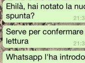WhatsApp: cosa significa spunta blu?