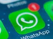 Arriva l’aggiornamento Whatsapp Iphone Plus