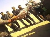 Cani procione scuoiati vivi solita pelliccia!