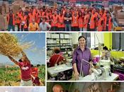 Vittorio: verità rate (scadute)