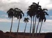 miei racconti situazioni diverse