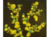 Tanti pallini gialli