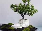 scarpe concimano terra