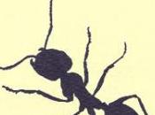 letto formiche, Donato Dallavalle (excelsior 1881)