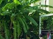 C'era volta POSITANO .... sulla Spiaggia Grande