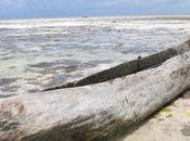 Mappa /Spazio Poesia