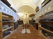 Andar mummie: Savoca