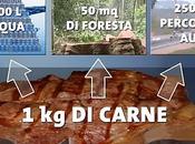 Dossier sulla carne