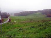 Trivelle Stato trivelle Regione, quali meglio?